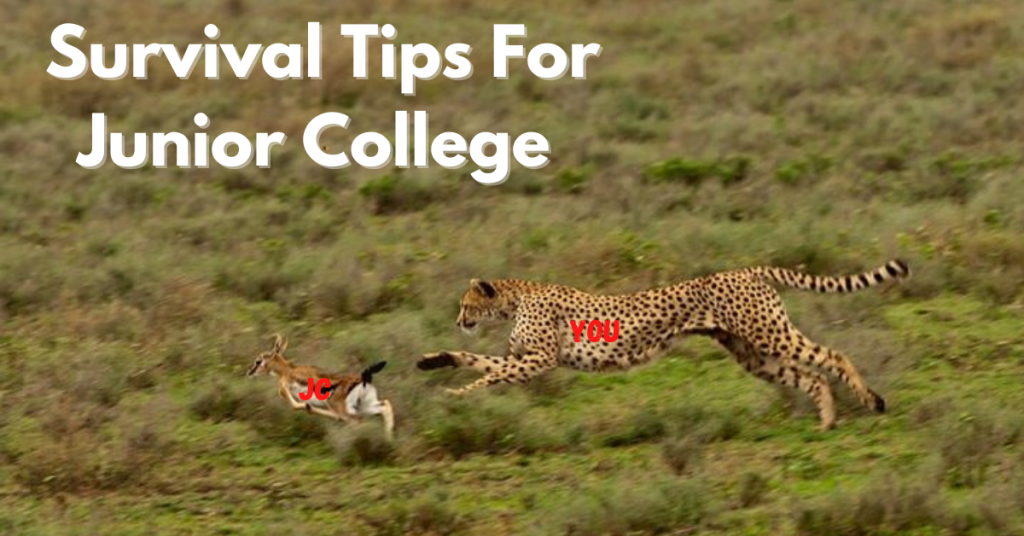 Survival Tips For Junior College